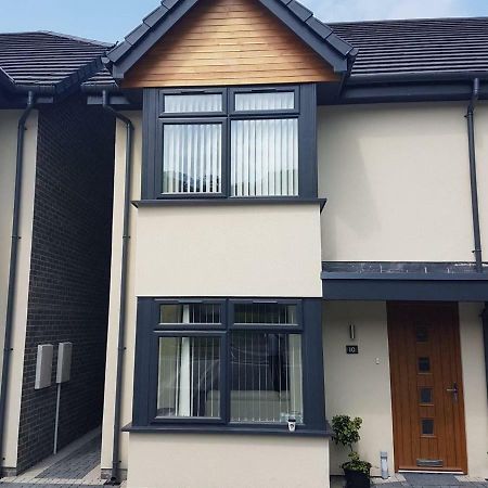 Bright Modern House Beside Snowdonia Villa Ланвайрвехан Екстериор снимка